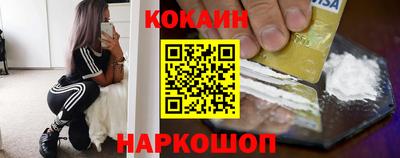 крисы Можга